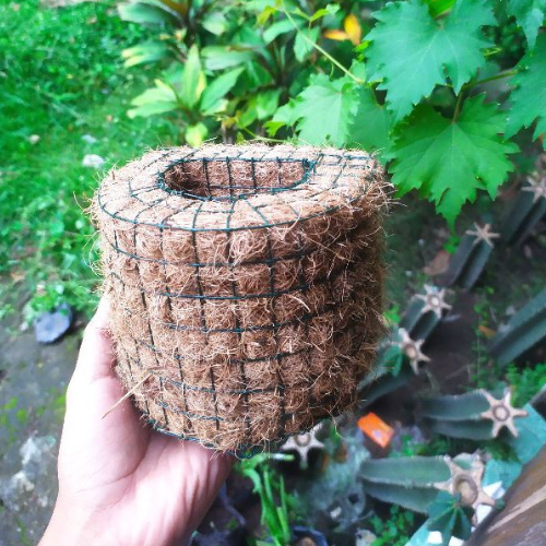 10 pcs Half-Circle Coconut Coir Pot -  perfect for orchids and similar plants
