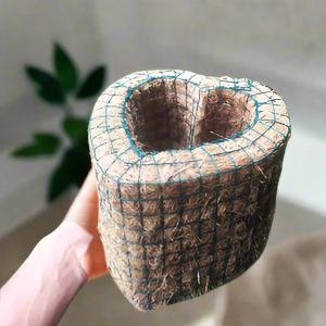 10 pcs Handmade Coconut Coir Pot - Heart Shaped