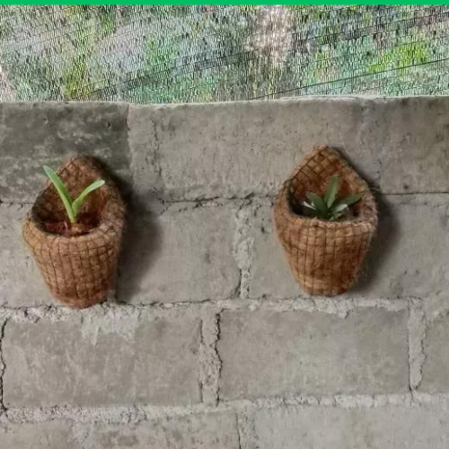 10 pcs Coconut Wall Planter - Coconut Coir Pot