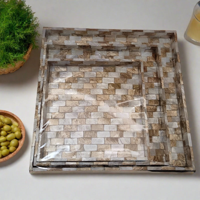 Elegant One Set Shell Tray Square - Transform Your Space with a Touch of the Ocean